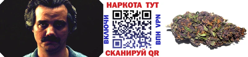 Купить закладку Марихуана  Alpha PVP  ГАШИШ  Меф мяу мяу  Ковылкино