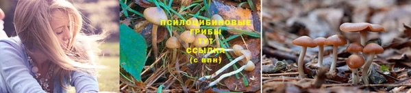 спайс Карпинск